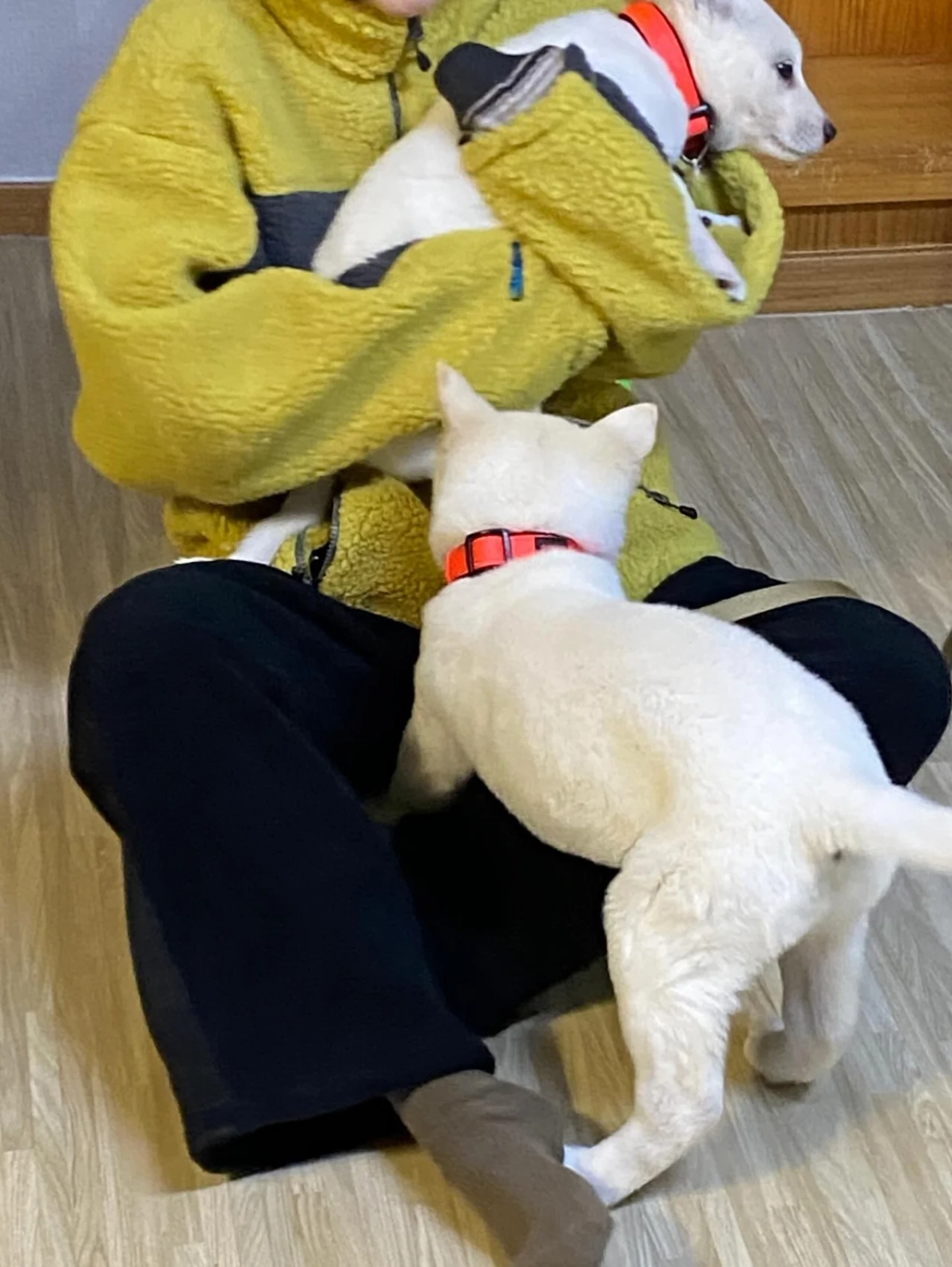 대표 이미지