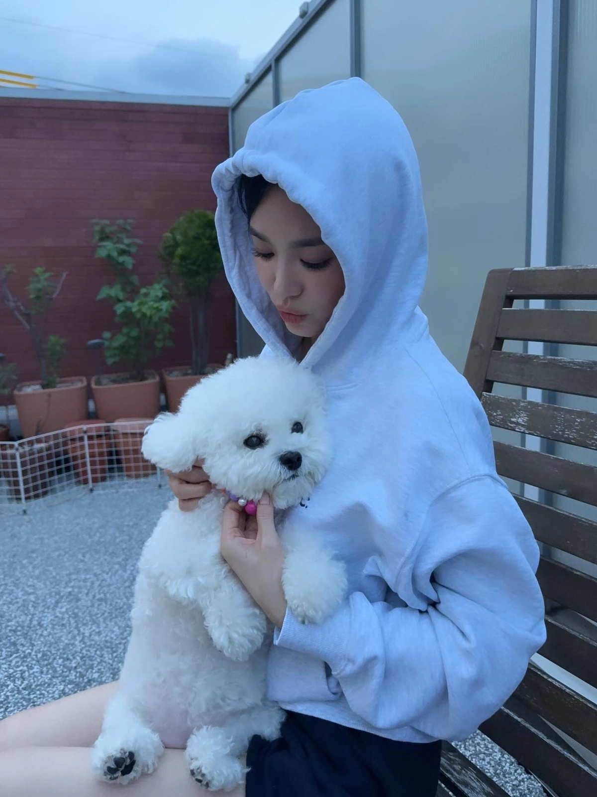 송혜교 반려견과 '찐힐링' 여름룩