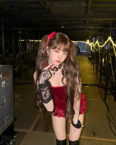 ゆりさん専用(大阪ウォニョン 2枚) チャン・ウォニョンが大阪ドームを魅了する『ディープレッド』の誘惑